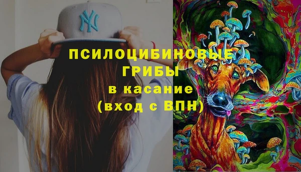 хмурый Верея