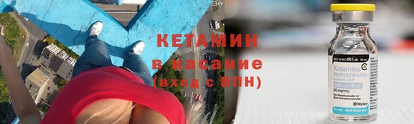 хмурый Верея
