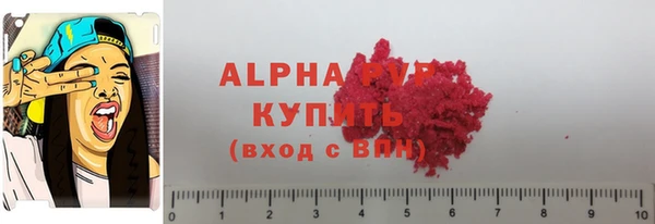 хмурый Верея