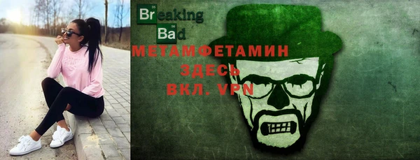 хмурый Верея