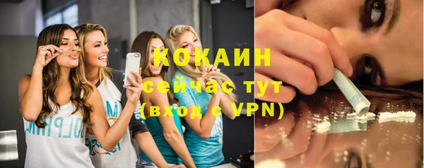 хмурый Верея
