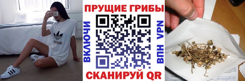 Псилоцибиновые грибы Cubensis  Оренбург 