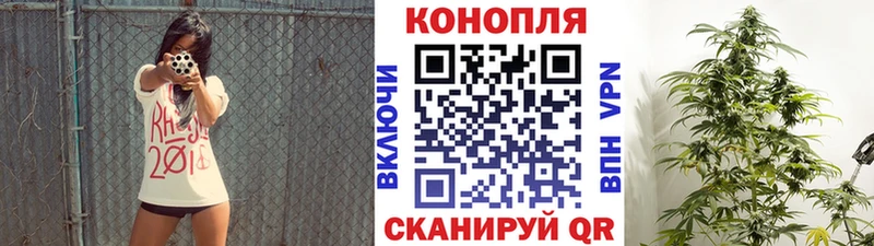 Конопля OG Kush  Оренбург 
